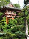 One of the highlights of Golden Gate Park is its wonderful Japanese Tea Garden.
